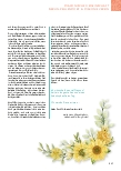 Vorschauseite 4: Verabschiedung von Schwester Ulrike Kempe