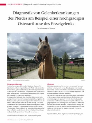 Vorschauseite 1: Diagnostik von Gelenkerkrankungen des Pferdes am Beispiel einer hochgradigen Osteoarthrose des Fesselgelenks