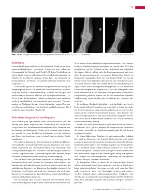 Vorschauseite 2: Diagnostik von Gelenkerkrankungen des Pferdes am Beispiel einer hochgradigen Osteoarthrose des Fesselgelenks