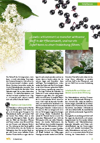 Vorschauseite 2: Holunder – Sambucus nigra
