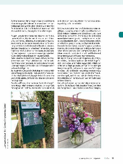 Vorschauseite 2: Methodische Weiterentwicklung der Gartentherapie