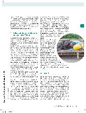 Vorschauseite 5: Obdachlosigkeit - Vom ihr zum Wir. Welchen Beitrag Ergotherapie in der Arbeit mit obdachlosen Menschen im Bereich der Gesundheitsförderung leisten kann.
