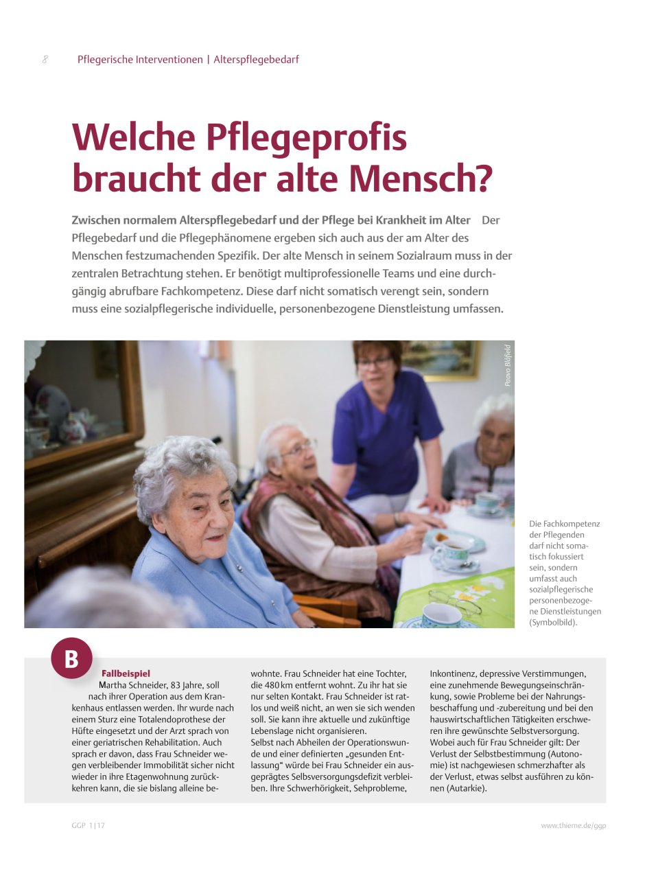 Vorschauseite 1: Welche Pflegeprofis braucht der alte Mensch?