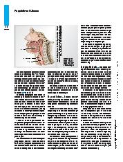 Vorschauseite 3: "Die Stimme ist der Spiegel der Seele." Das wichtigste Kommunikationsmittel pflegen.