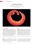 Vorschauseite 1: Schistosomiasis ist eine Tropenkrankheit, die Europa erreicht hat.