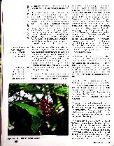 Vorschauseite 2: Homöopathie - entwicklungsstarke Zeitreise in die Moderne Teil 2 - Theoretische Grundlagen