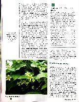 Vorschauseite 4: Homöopathie - entwicklungsstarke Zeitreise in die Moderne Teil 2 - Theoretische Grundlagen