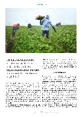 Vorschauseite 3: Zwischen allen Stühlen: die Landwirte