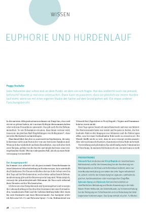 Vorschauseite 1: Euphorie und Hürdenlauf