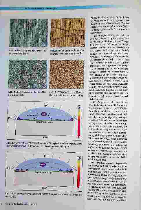 Vorschauseite 5: Studie zur Entstehung von Silikatbelägen im Prozess der Dampfsterilisation