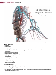 Vorschauseite 1: CT-Protokolle CT-Angiografie – Armarterien
