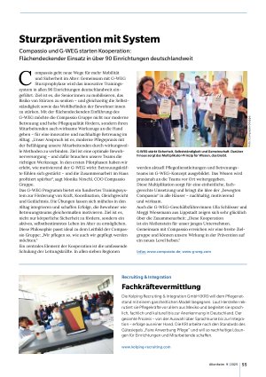Vorschauseite 1: Sturzprävention mit System