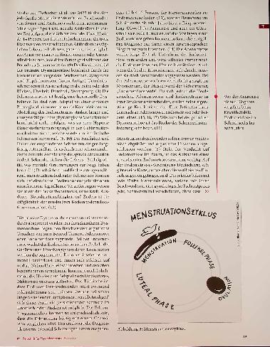 Vorschauseite 4: In Harmonie mit dem Zyklus Die Relevanz des Wissens über den Menstruationszyklus