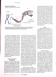 Vorschauseite 3: Epigenetik und Schwangerschaft: Der Zusammenhang