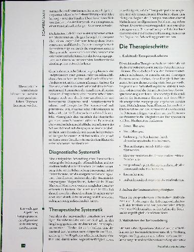 Vorschauseite 3: Fundament der Therapie Das Leben bewegend gesund gestalten
