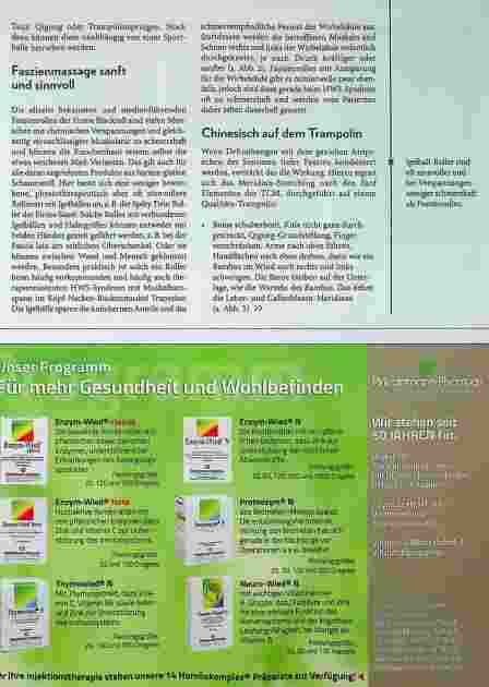 Vorschauseite 4: Faszinierende Faszie - vom Füllmaterial zum Body Wide Web