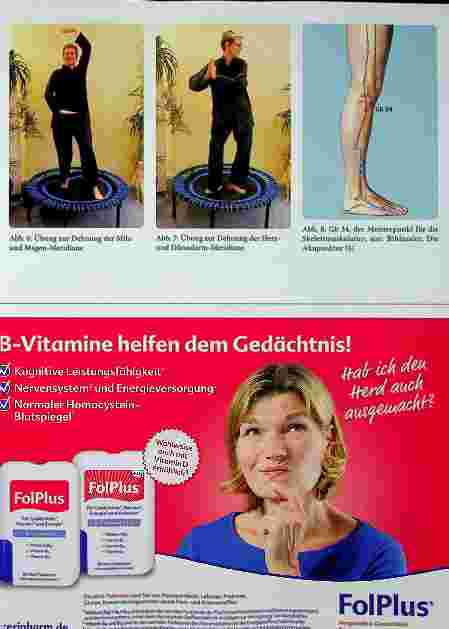 Vorschauseite 6: Faszinierende Faszie - vom Füllmaterial zum Body Wide Web