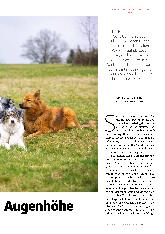 Vorschauseite 2: Mit dem Hund auf Augenhöhe