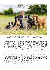 Vorschauseite 4: Mit dem Hund auf Augenhöhe