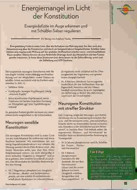 Vorschauseite 1: Energiemangel im Licht der Konstitution Energiedefizite im Auge erkennen und mit Schüßler-Salzen regulieren