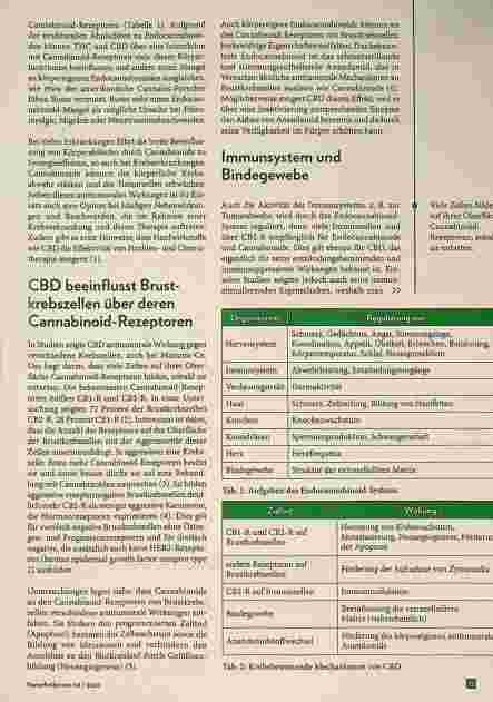 Vorschauseite 2: Cannabidiol (CBD) bei Brustkrebs