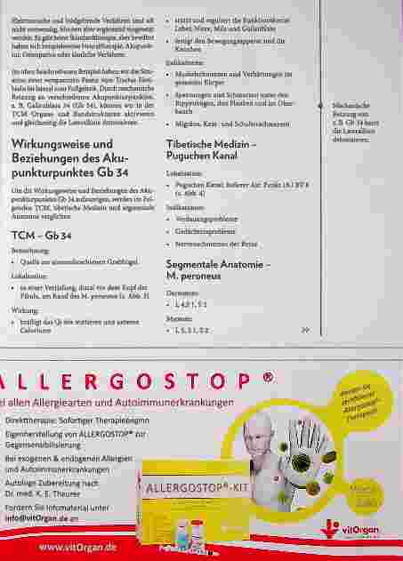 Vorschauseite 3: Fasziale Leitlinien im Vergleich mit anderen Heilsystemen: Bedeutung für invasive und nicht-invasive Therapien