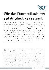 Vorschauseite 1: Wie das Darmmikrobiom auf Antibiotika reagiert