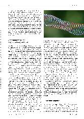 Vorschauseite 2: Migräne - eine multifaktorielle Erkrankung. Triggerfaktoren, Prodromalund Begleitsymptome.