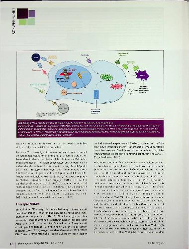 Vorschauseite 3: Diagnostik und aktuelle Therapieansätze des Multiplen Myeloms (MM)