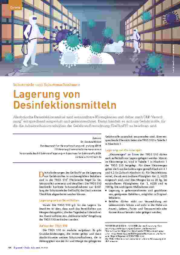 Vorschauseite 1: Schutzziele und Schutzmaßnahmen bei der Lagerung von Desinfektionsmitteln