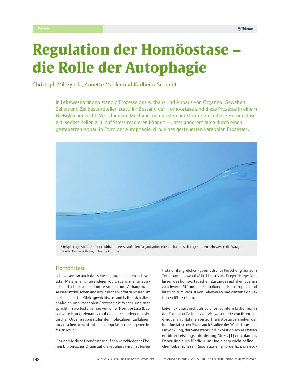 Vorschauseite 1: Regulation der Homöostase – die Rolle der Autophagie