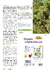 Vorschauseite 2: Wacholder (Juniperus communis L.)
