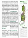 Vorschauseite 2: I m sorry, but I don t see any German text to correct. Please provide the text so I can help you with the spelling mistakes.