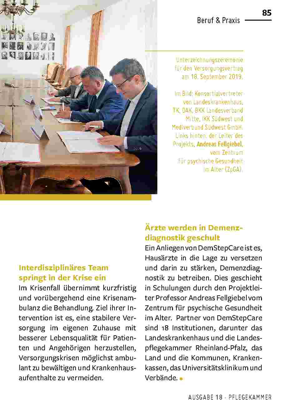 Vorschauseite 4: Projekt DemStepCare - DEMENZ: FALLMANAGER GEBEN SICHERHEIT