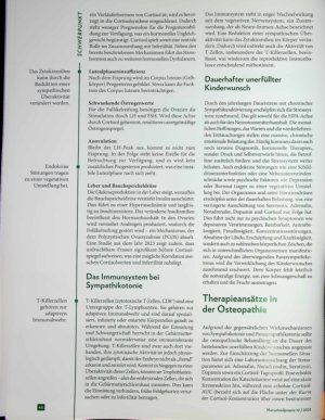 Vorschauseite 3: Testergebnis negativ Von der Last des unerfüllten Kinderwunsches