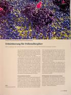 Vorschauseite 1: Erleichterung für Pollenallergiker