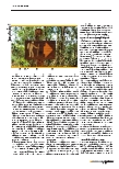 Vorschauseite 3: Klinische Bewertung: Die Regelungen der MDR