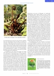 Vorschauseite 3: Magen und Darm, Farne und Weiden