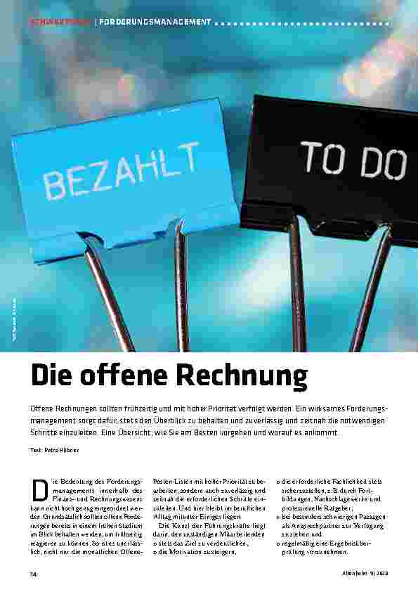 Vorschauseite 1: Die offene Rechnung