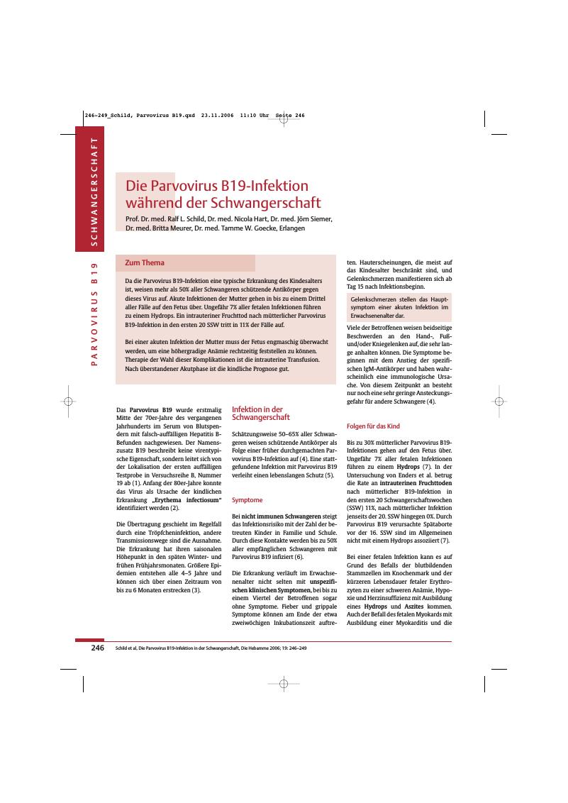 Vorschauseite 1: Die Parvovirus B19-Infektion während der Schwangerschaft