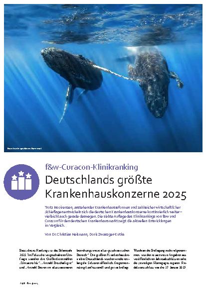 Vorschauseite 1: Deutschlands größte Krankenhauskonzerne 2025