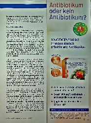 Vorschauseite 2: Primäres Problem