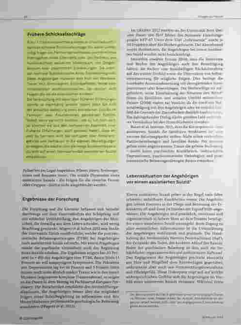 Vorschauseite 2: Die Lebenssituation der Angehörigen vor, während und nach einem assistierten Suizid