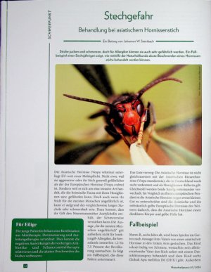 Vorschauseite 1: Stechgefahr Behandlung bei asiatischem Hornissenstich