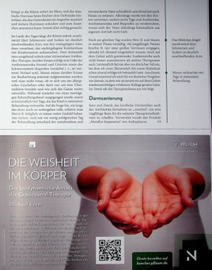 Vorschauseite 2: Stechgefahr Behandlung bei asiatischem Hornissenstich