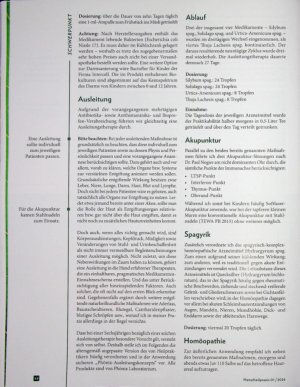 Vorschauseite 3: Stechgefahr Behandlung bei asiatischem Hornissenstich