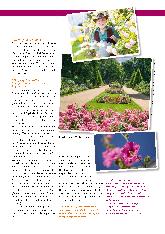 Vorschauseite 4: Rose - Königin der Blumen