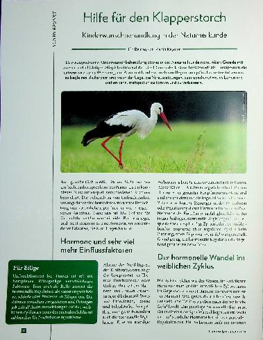 Vorschauseite 1: Hilfe für den Klapperstorch: Kinderwunschbehandlung in der Naturheilkunde