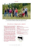 Vorschauseite 3: BRUDERKALB Die Lösung für das Milchmarkt-Dilemma?