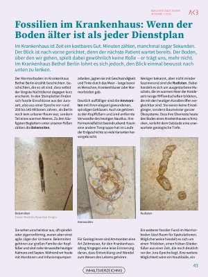 Vorschauseite 1: Fossilien im Krankenhaus: Wenn der Boden älter ist als jeder Dienstplan